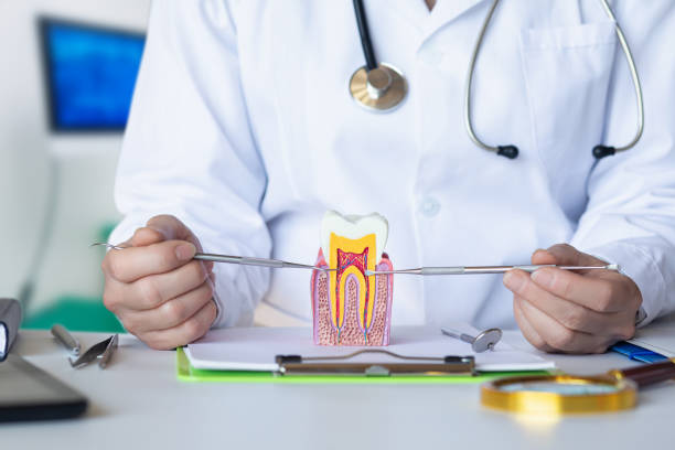 Dentist for Dental Trauma in TN